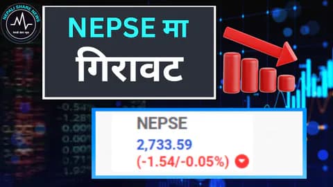  नेप्सेमा १.५४ अंकको झिनो गिरावट, सोपान फर्मास्युटिकल्स र कालिञ्चोक हाइड्रोका लगानीकर्ताले कमाए सर्वाधिक