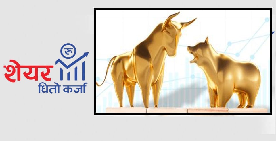 शेयर धितो कर्जाः यस्ता छन् सीमा र नियमहरू